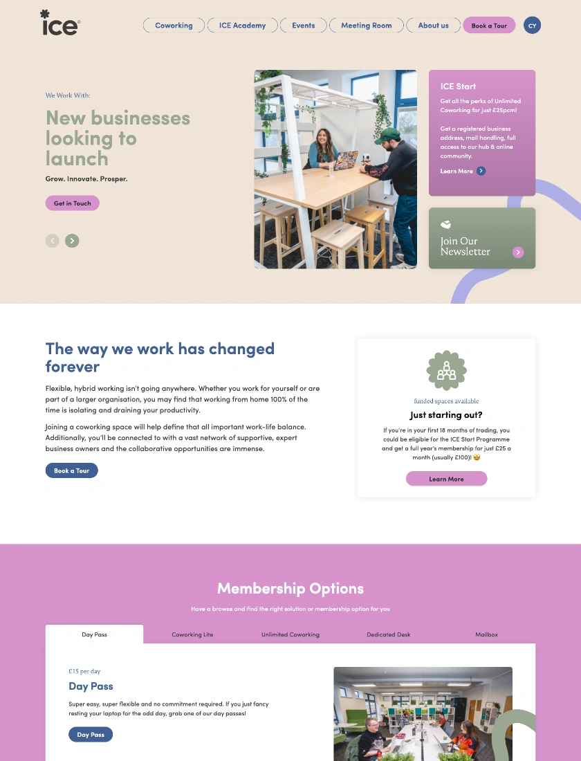 Welsh ICE website home page example